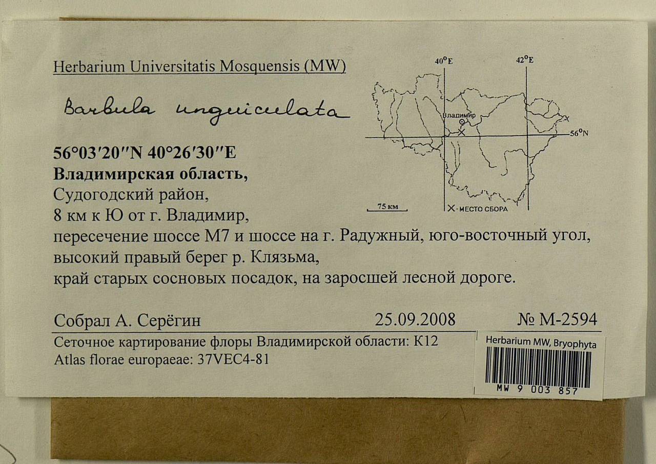 Barbula unguiculata Hedw., Bryophytes, Bryophytes - Middle Russia (B6) (Russia)