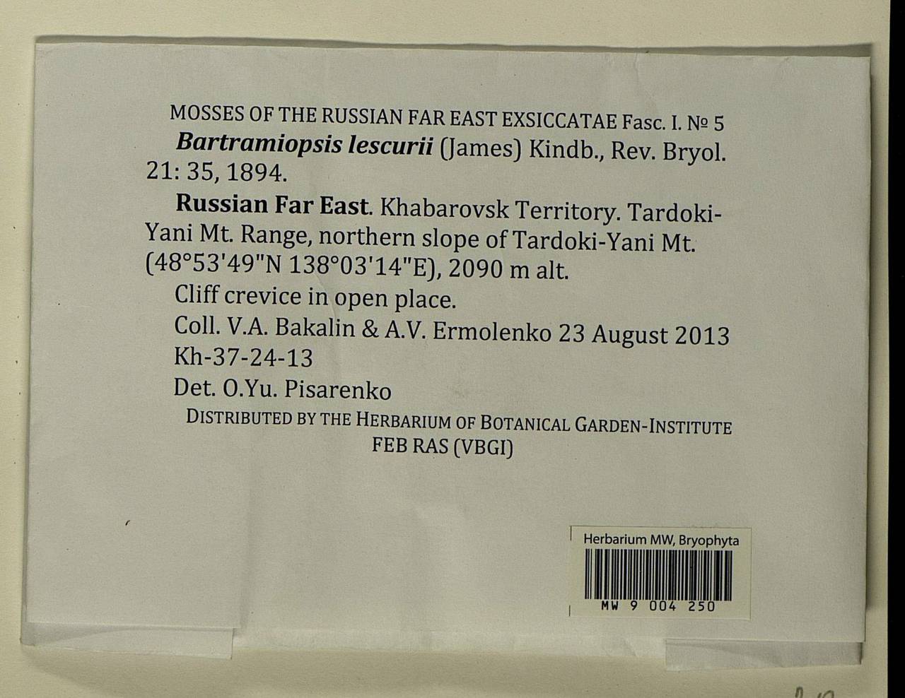 Bartramiopsis lescurii (James) Kindb., Bryophytes, Bryophytes - Russian Far East (excl. Chukotka & Kamchatka) (B20) (Russia)