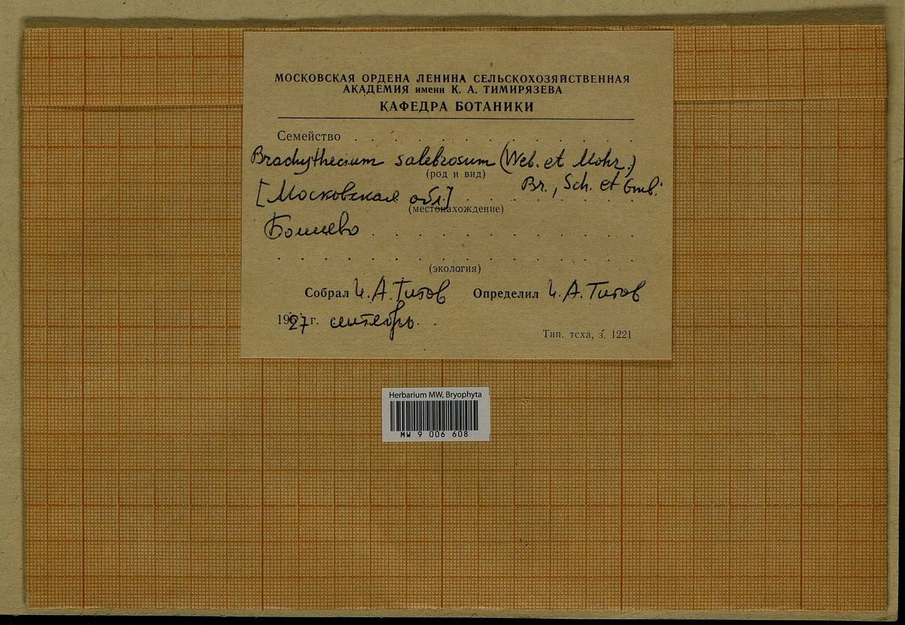Brachythecium salebrosum (Hoffm. ex F. Weber & D. Mohr) Schimp., Bryophytes, Bryophytes - Moscow City & Moscow Oblast (B6a) (Russia)