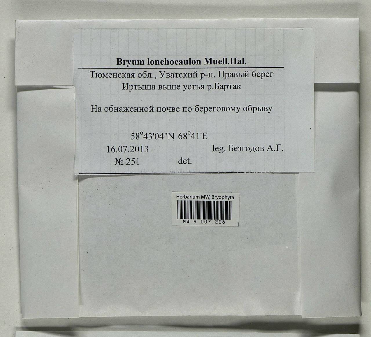 Ptychostomum lonchocaulon (Müll. Hal.) J.R. Spence, Bryophytes, Bryophytes - Western Siberia (including Altai) (B15) (Russia)
