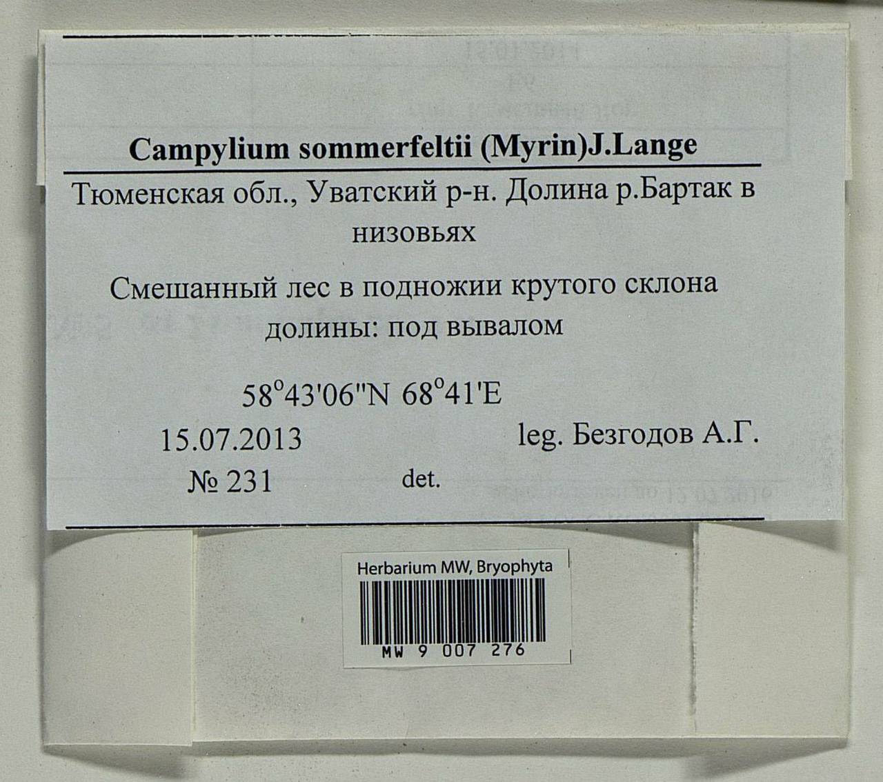 Campylophyllopsis sommerfeltii (Myrin) Ochyra, Bryophytes, Bryophytes - Western Siberia (including Altai) (B15) (Russia)