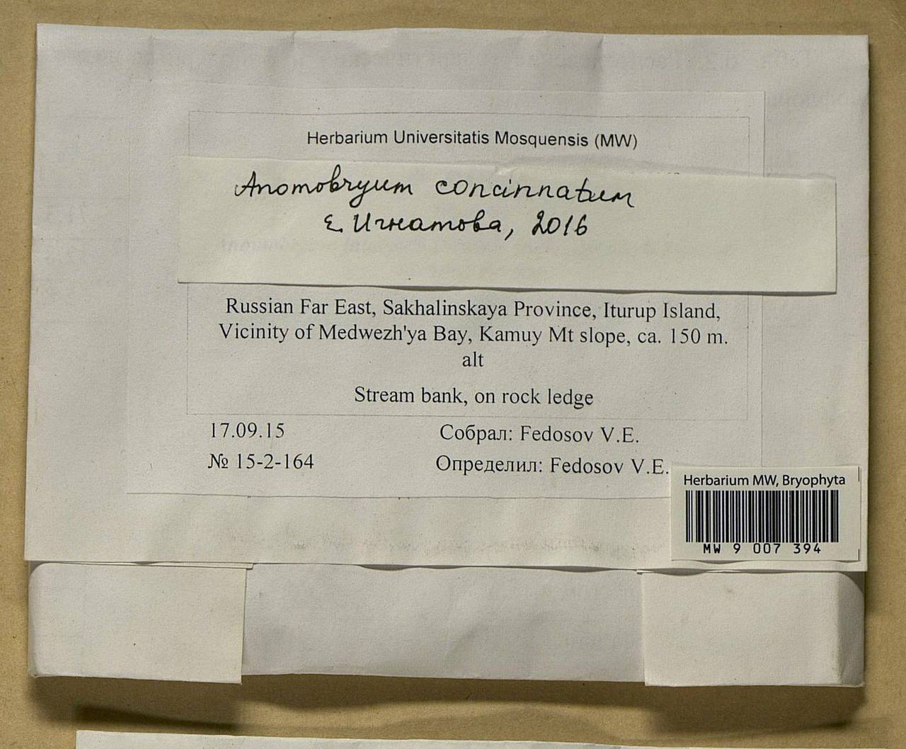 Anomobryum concinnatum (Spruce) A. Jaeger, Bryophytes, Bryophytes - Russian Far East (excl. Chukotka & Kamchatka) (B20) (Russia)