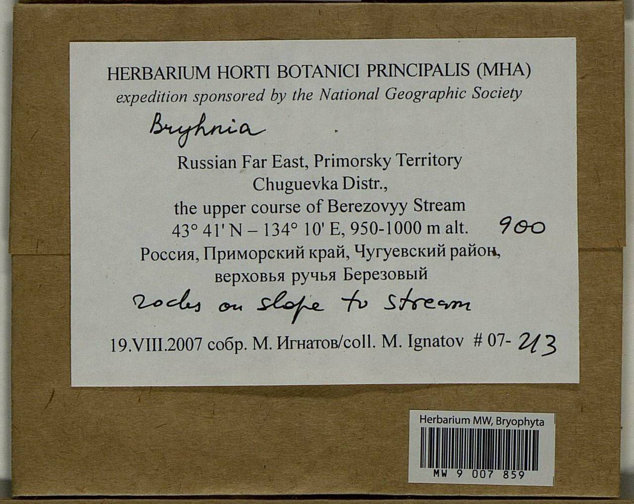 Bryhnia, Bryophytes, Bryophytes - Russian Far East (excl. Chukotka & Kamchatka) (B20) (Russia)