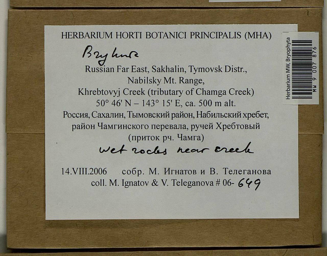 Bryhnia, Bryophytes, Bryophytes - Russian Far East (excl. Chukotka & Kamchatka) (B20) (Russia)