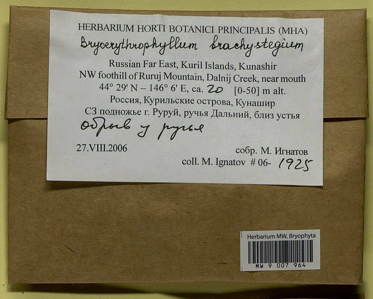 Bryoerythrophyllum brachystegium (Besch.) K. Saito, Bryophytes, Bryophytes - Russian Far East (excl. Chukotka & Kamchatka) (B20) (Russia)