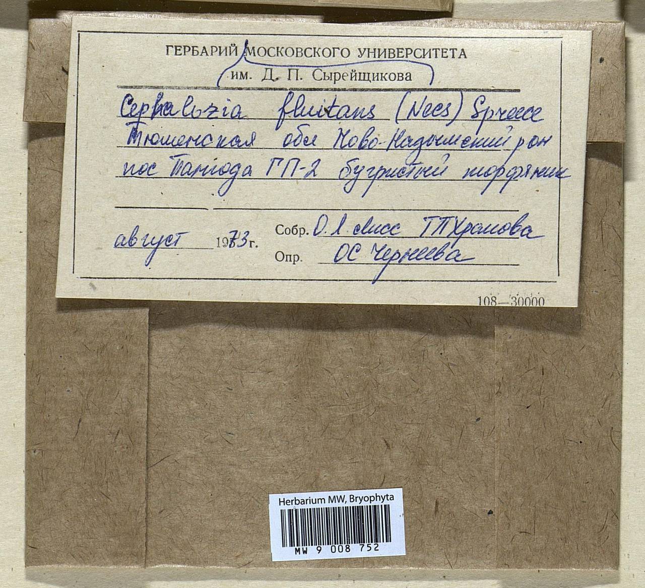 Odontoschisma fluitans (Nees) L. Söderstr. & Váňa, Bryophytes, Bryophytes - Western Siberia (including Altai) (B15) (Russia)