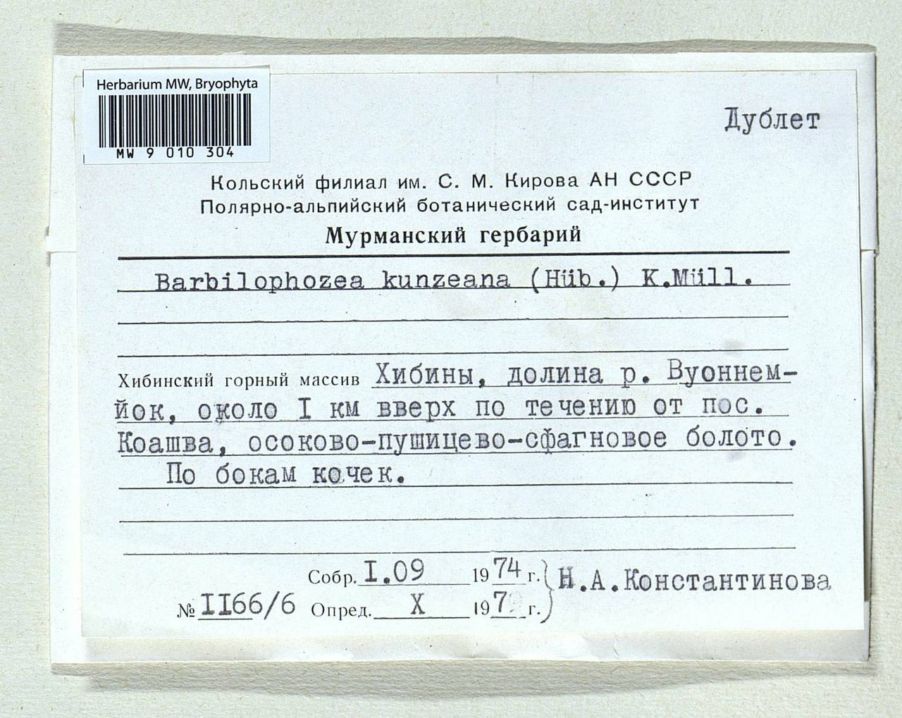 Schljakovia kunzeana (Huebener) Konstant. & Vilnet, Bryophytes, Bryophytes - Karelia, Leningrad & Murmansk Oblasts (B4) (Russia)