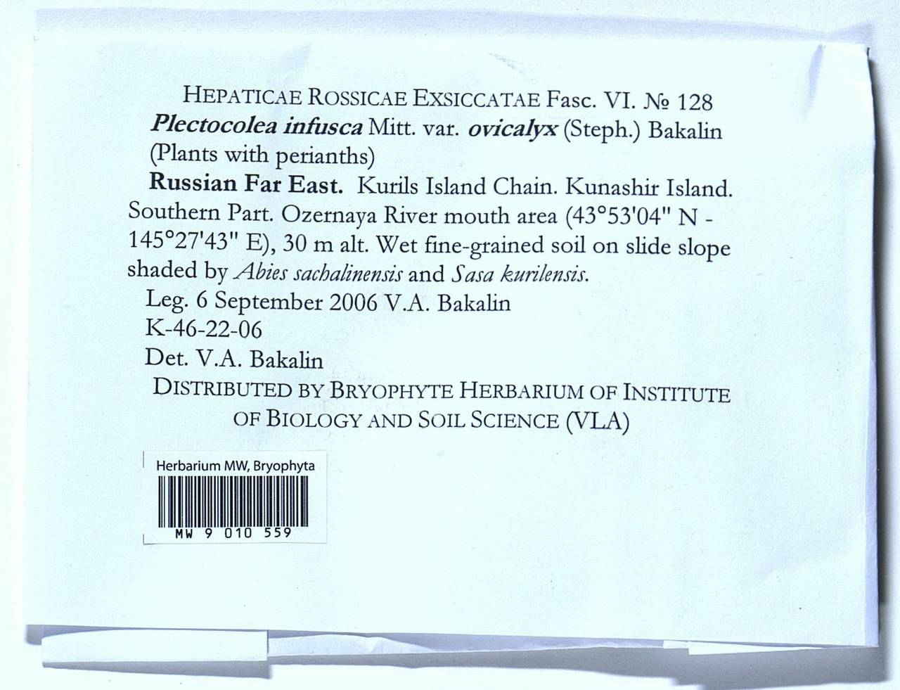 Solenostoma infuscum (Mitt.) Hentschel, Bryophytes, Bryophytes - Russian Far East (excl. Chukotka & Kamchatka) (B20) (Russia)