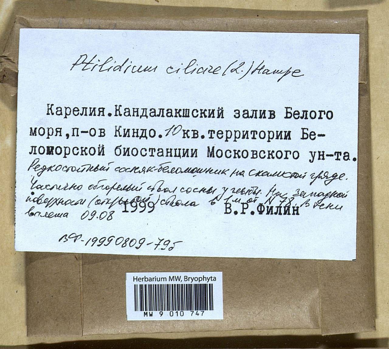 Ptilidium ciliare (L.) Hampe, Bryophytes, Bryophytes - Karelia, Leningrad & Murmansk Oblasts (B4) (Russia)