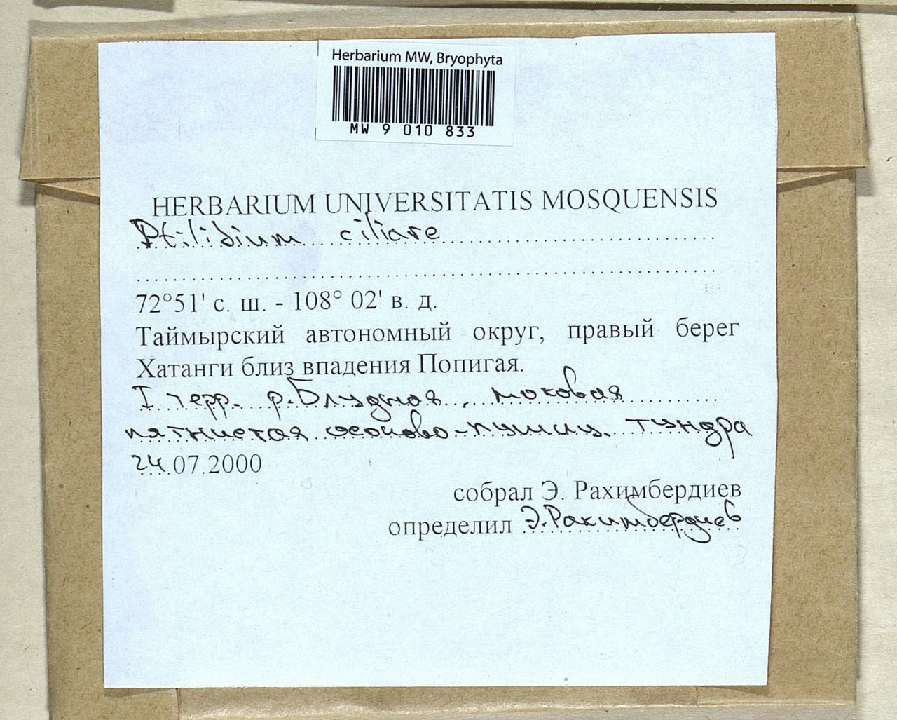 Ptilidium ciliare (L.) Hampe, Bryophytes, Bryophytes - Krasnoyarsk Krai, Tyva & Khakassia (B17) (Russia)
