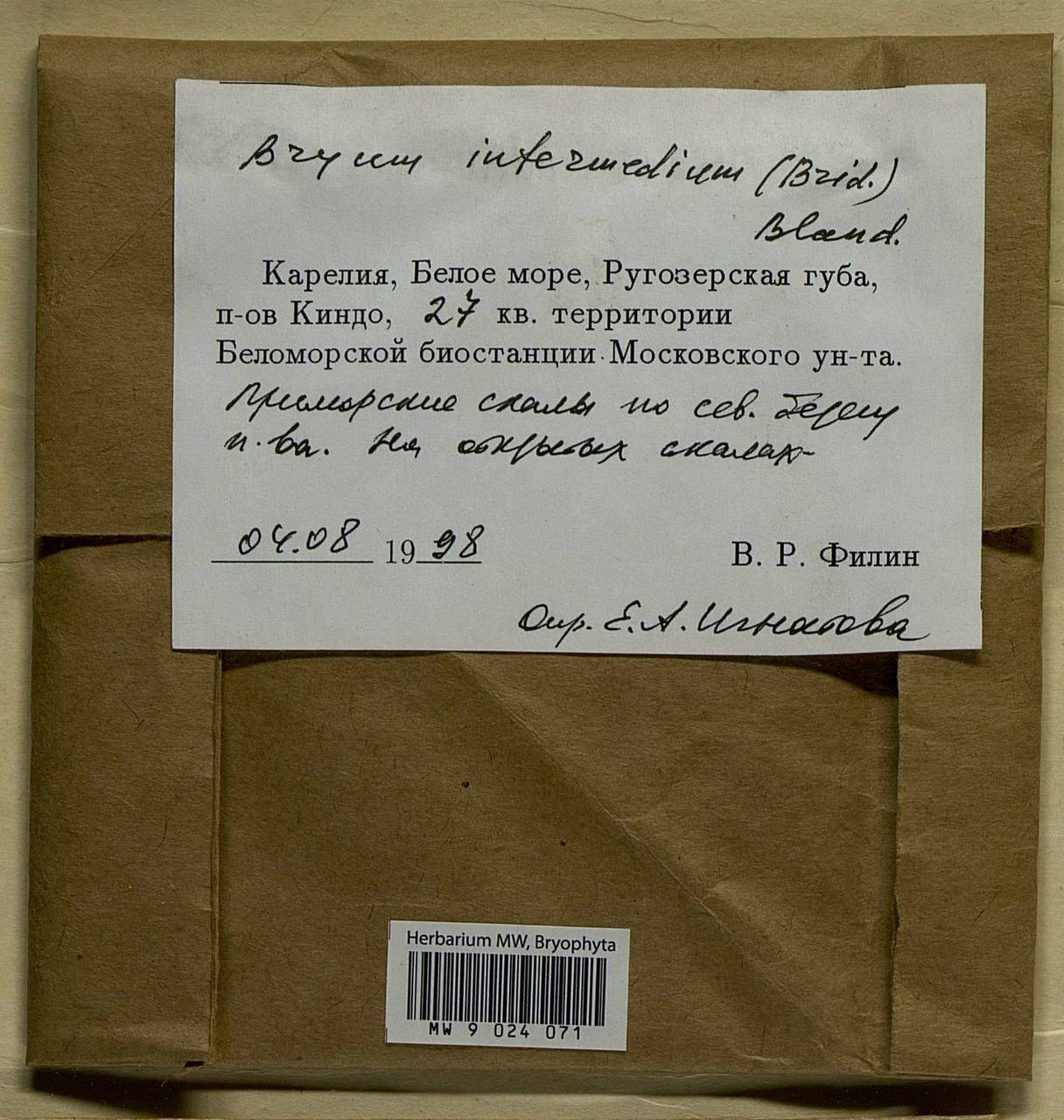 Ptychostomum intermedium (Brid.) J.R. Spence, Bryophytes, Bryophytes - Karelia, Leningrad & Murmansk Oblasts (B4) (Russia)