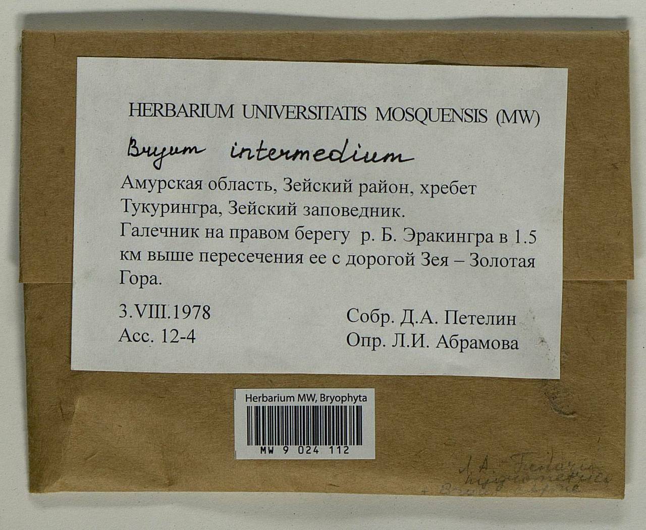 Ptychostomum intermedium (Brid.) J.R. Spence, Bryophytes, Bryophytes - Russian Far East (excl. Chukotka & Kamchatka) (B20) (Russia)