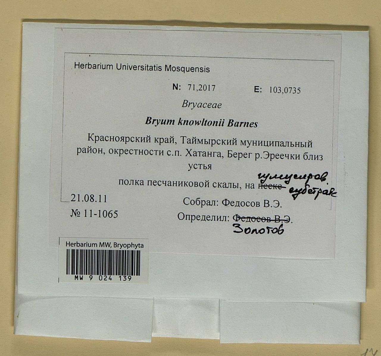 Ptychostomum knowltonii (Barnes) J.R. Spence, Bryophytes, Bryophytes - Krasnoyarsk Krai, Tyva & Khakassia (B17) (Russia)