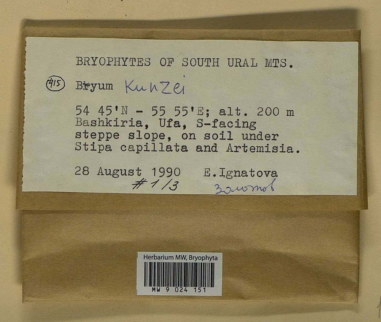 Ptychostomum kunzei (Hornsch.) J.R. Spence, Bryophytes, Bryophytes - South Urals (B14) (Russia)