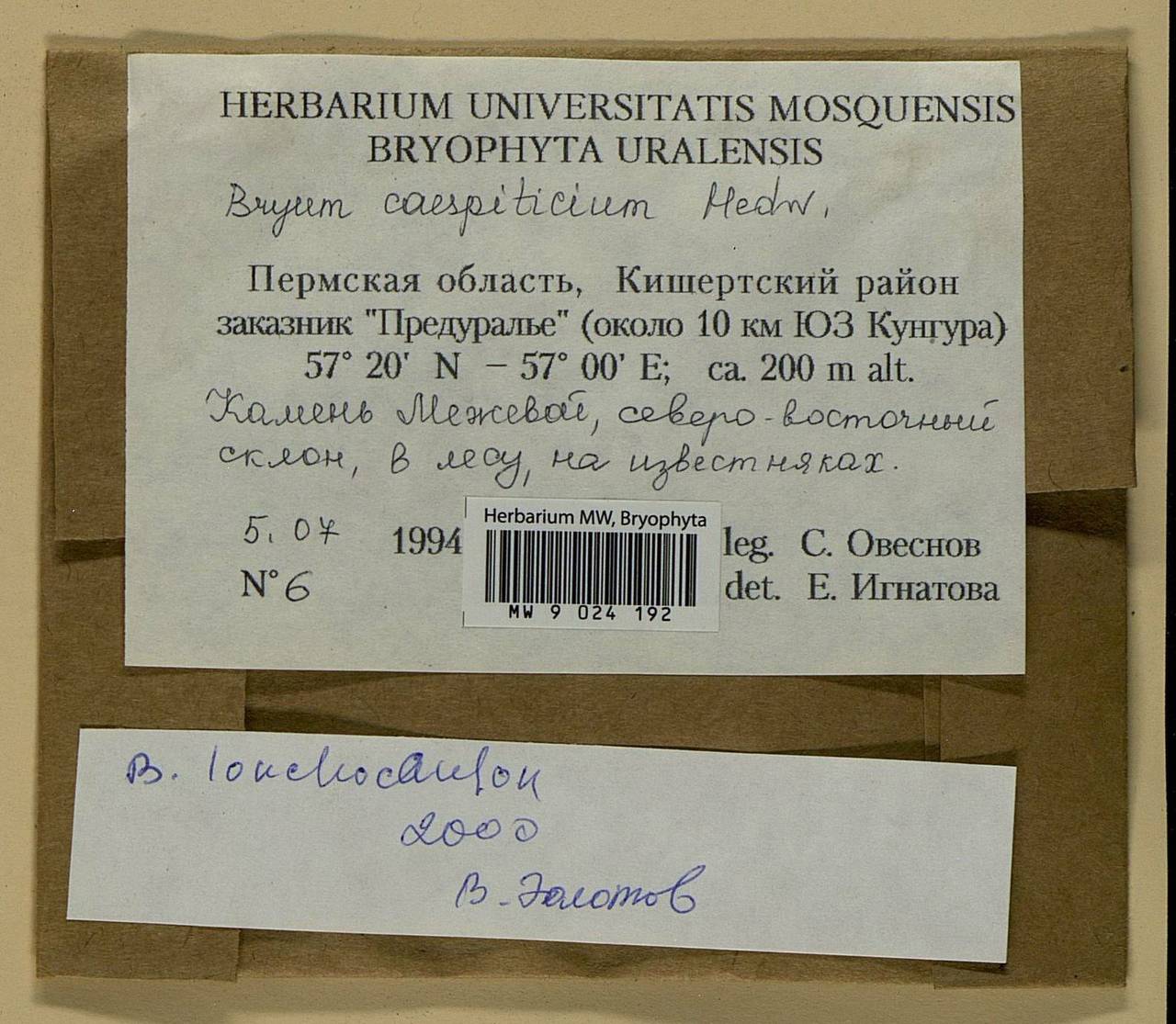 Ptychostomum lonchocaulon (Müll. Hal.) J.R. Spence, Bryophytes, Bryophytes - Permsky Krai, Udmurt Republic, Sverdlovsk & Kirov Oblasts (B8) (Russia)