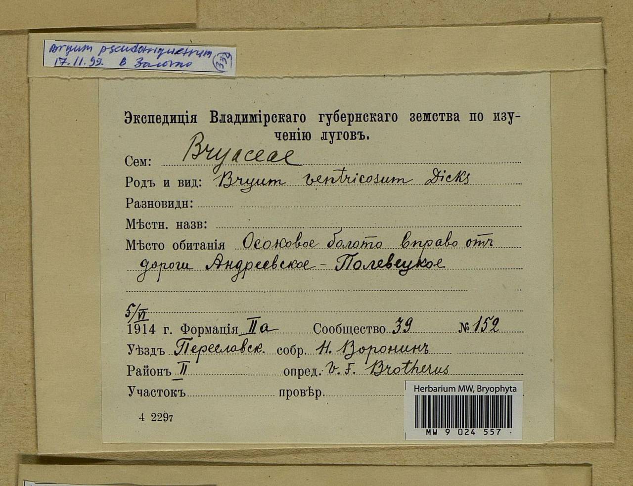 Ptychostomum pseudotriquetrum (Hedw.) J.R. Spence & H.P. Ramsay ex Holyoak & N. Pedersen, Bryophytes, Bryophytes - Middle Russia (B6) (Russia)