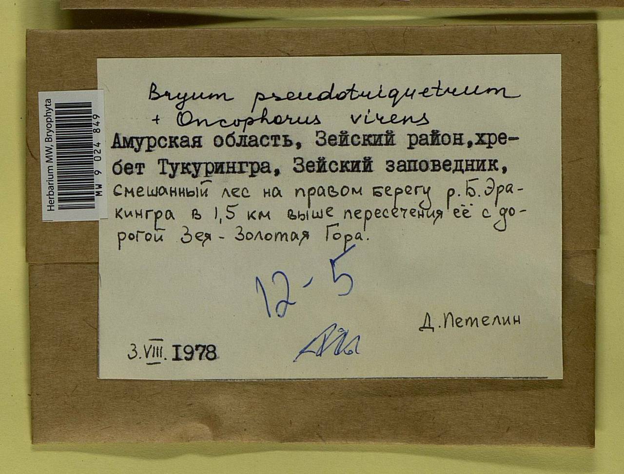 Ptychostomum pseudotriquetrum (Hedw.) J.R. Spence & H.P. Ramsay ex Holyoak & N. Pedersen, Bryophytes, Bryophytes - Russian Far East (excl. Chukotka & Kamchatka) (B20) (Russia)