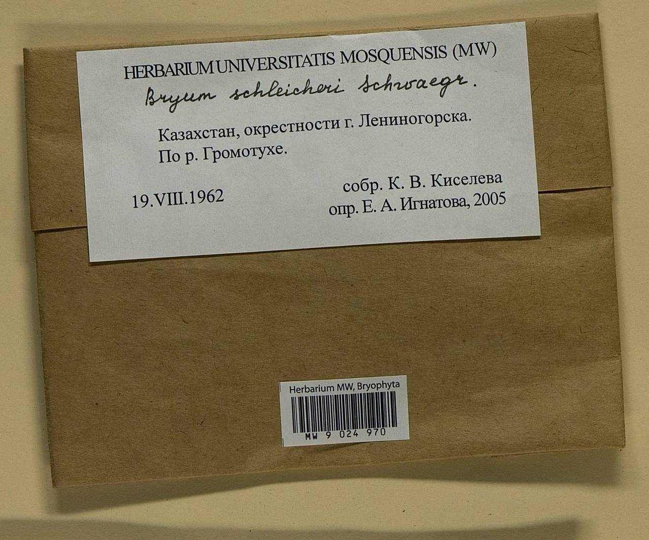 Ptychostomum schleicheri (DC.) J.R. Spence, Bryophytes, Bryophytes - Middle Asia & Kazakhstan (B16) (Kazakhstan)