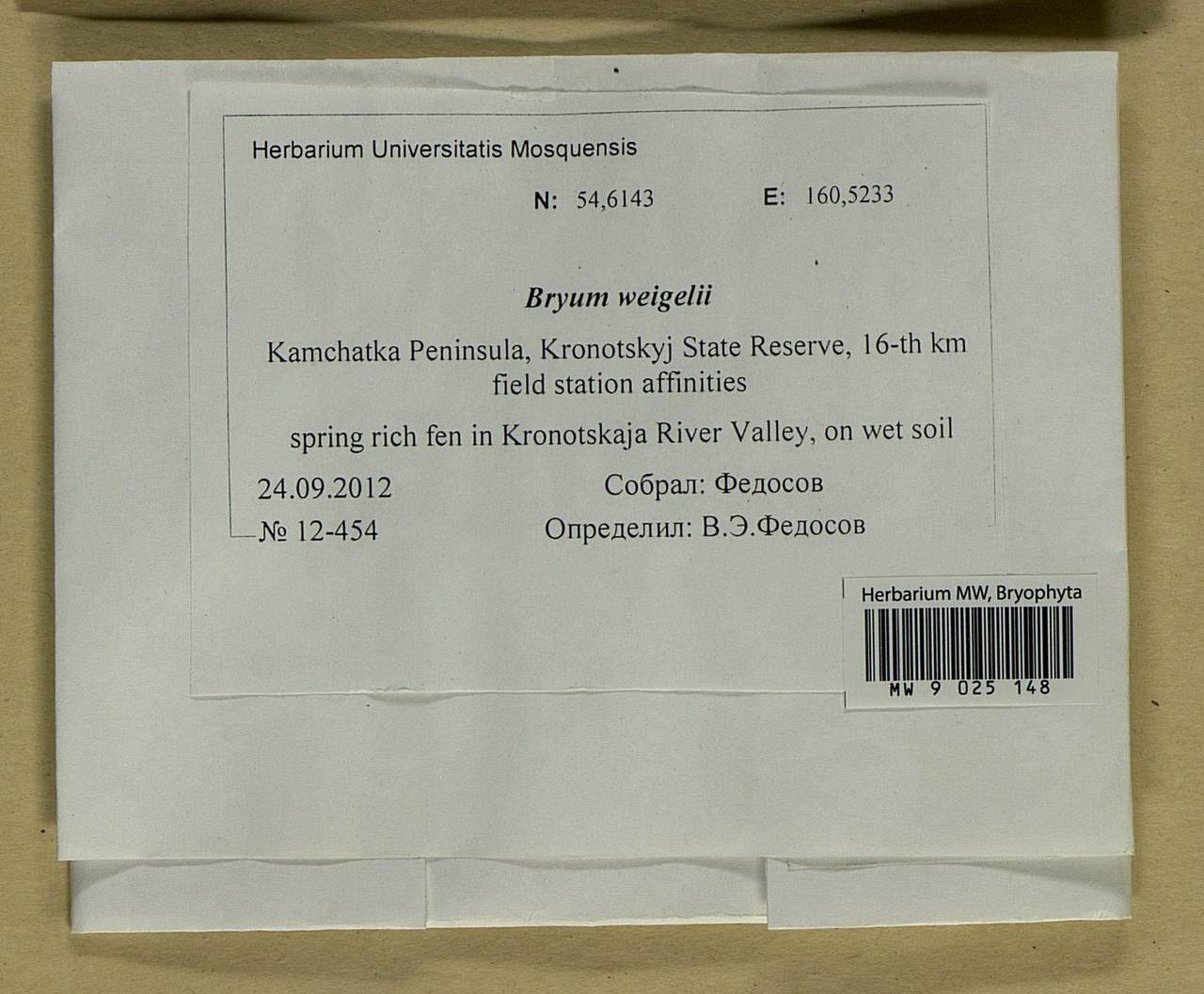 Ptychostomum weigelii (Biehler) J.R. Spence, Bryophytes, Bryophytes - Chukotka & Kamchatka (B21) (Russia)