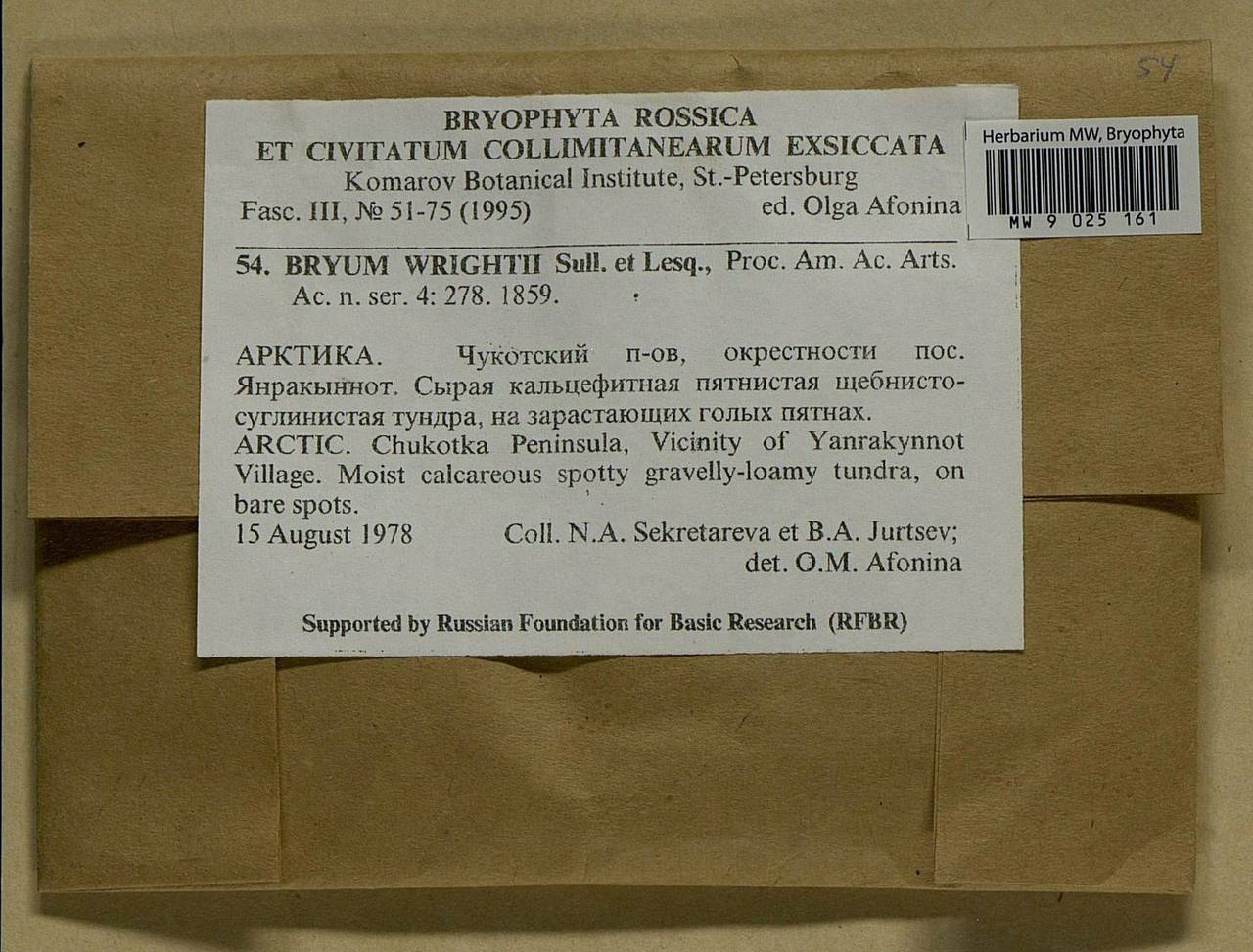 Ptychostomum wrightii (Sull. & Lesq.) J.R. Spence, Bryophytes, Bryophytes - Chukotka & Kamchatka (B21) (Russia)