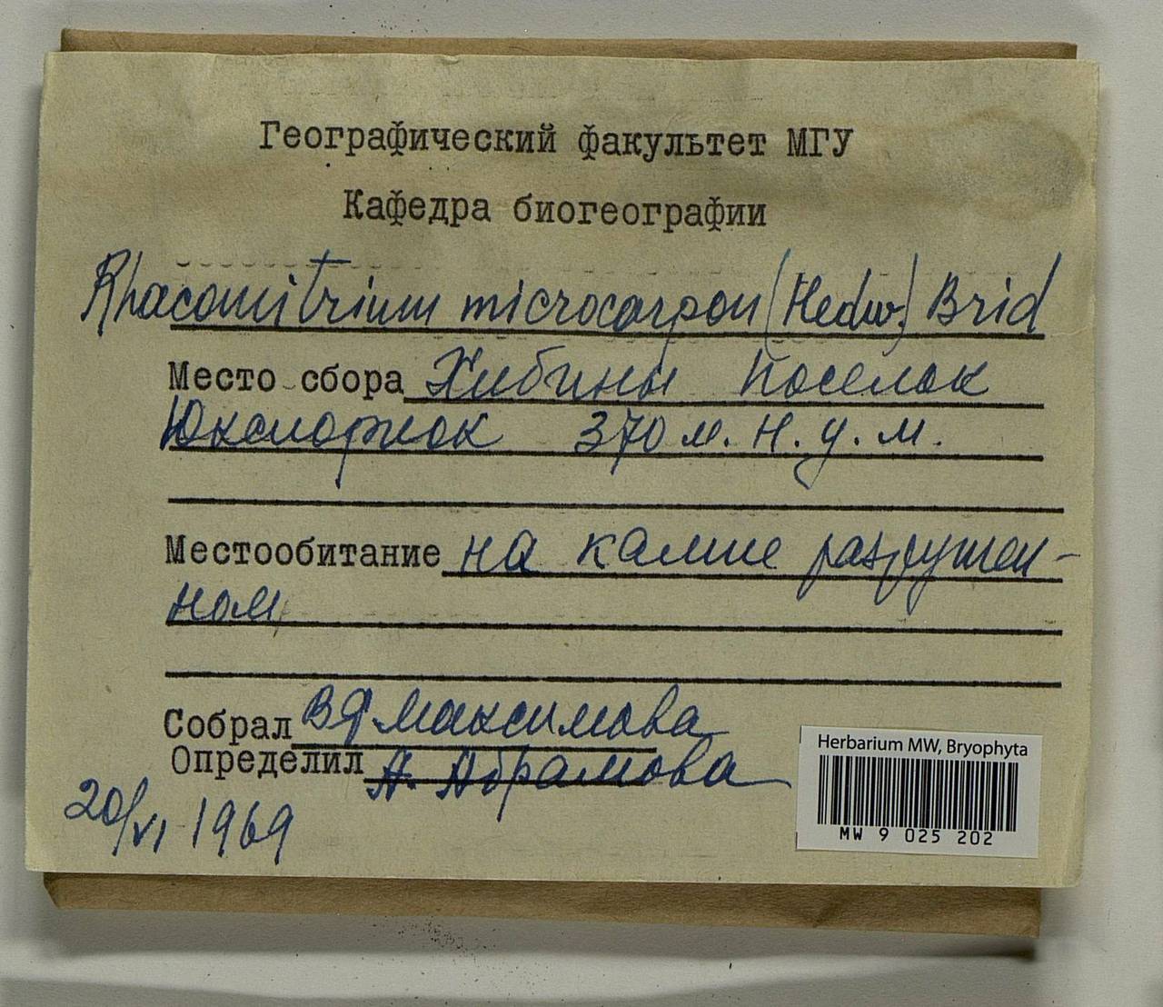 Bucklandiella microcarpos (Hedw.) Bedn.-Ochyra & Ochyra, Bryophytes, Bryophytes - Karelia, Leningrad & Murmansk Oblasts (B4) (Russia)