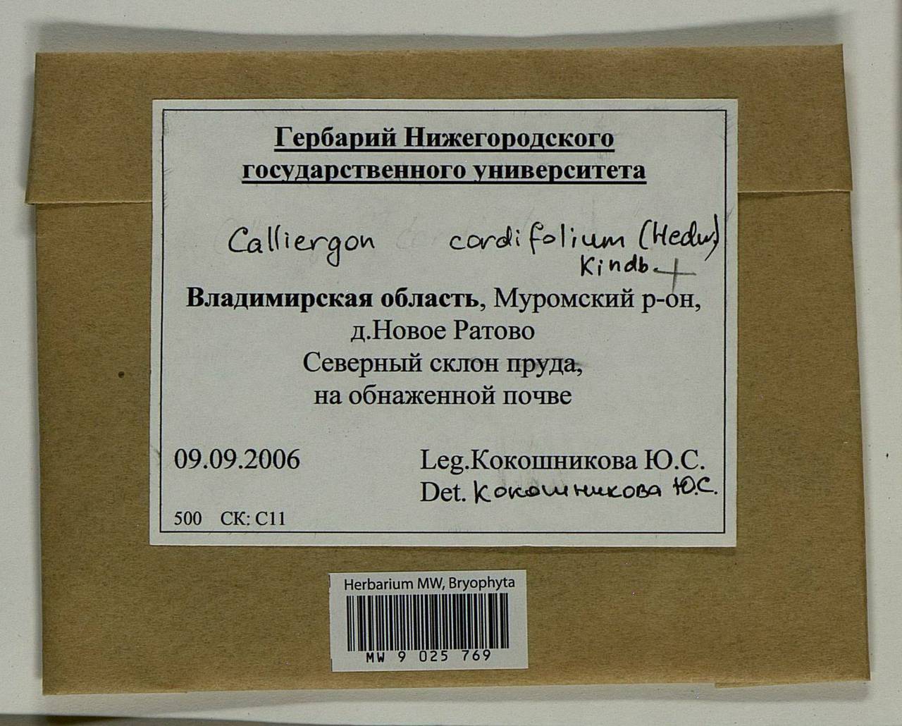 Calliergon cordifolium (Hedw.) Kindb., Bryophytes, Bryophytes - Middle Russia (B6) (Russia)
