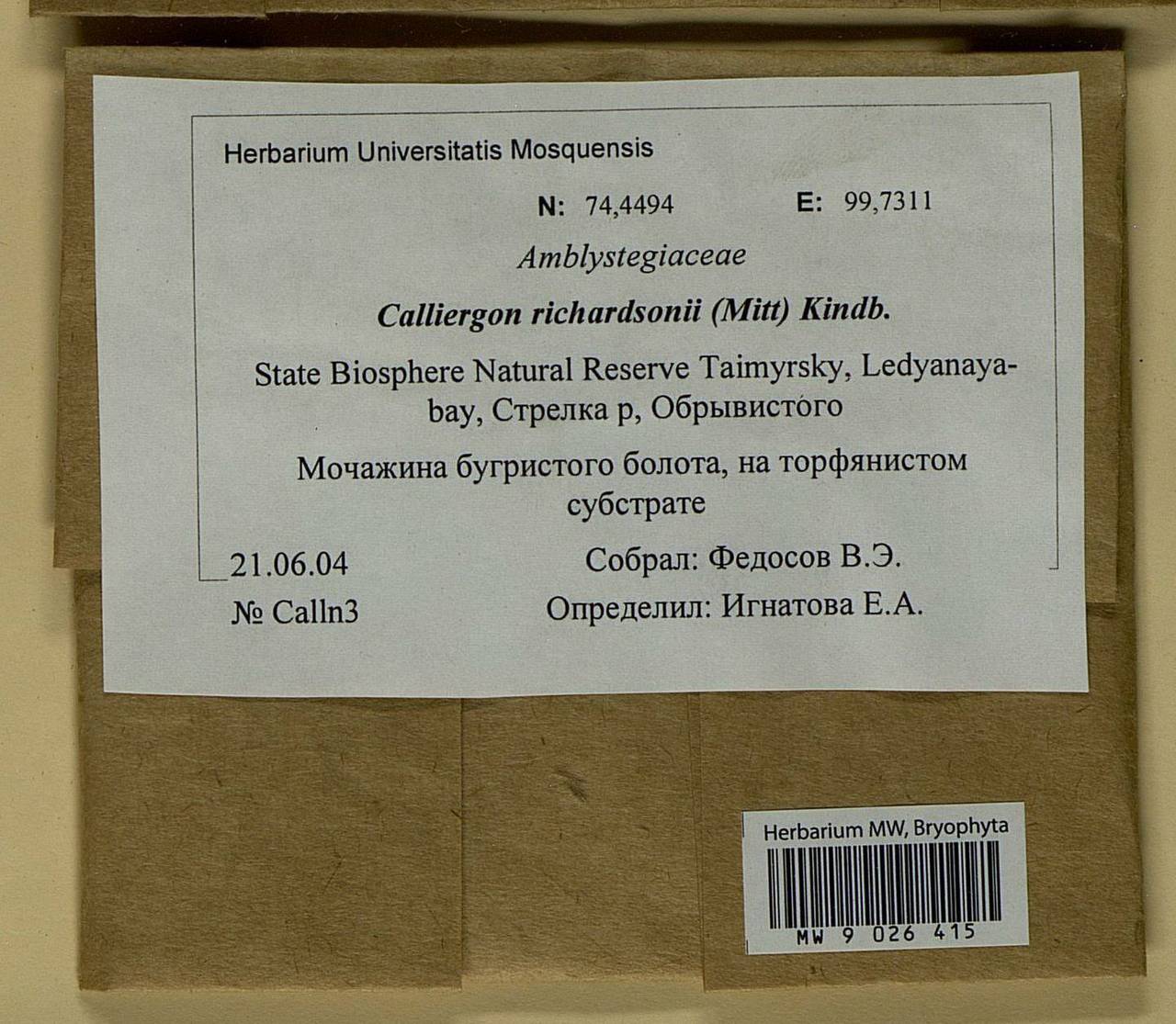 Calliergon richardsonii (Mitt.) Kindb. ex G. Roth, Bryophytes, Bryophytes - Krasnoyarsk Krai, Tyva & Khakassia (B17) (Russia)