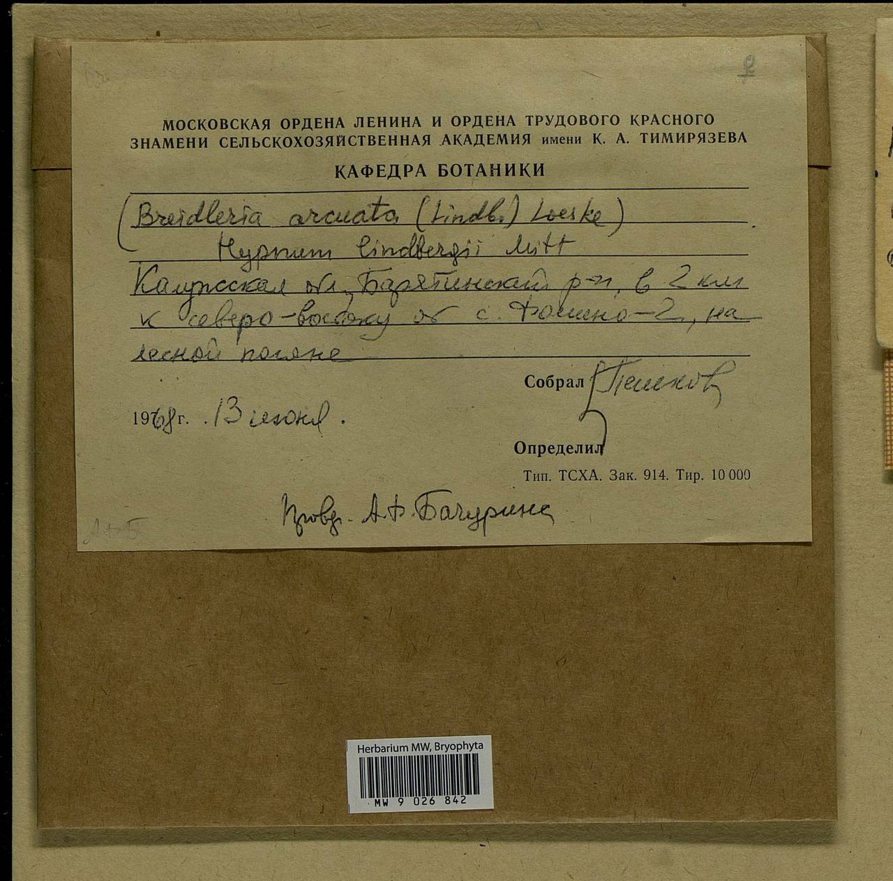 Calliergonella lindbergii (Mitt.) Hedenäs, Bryophytes, Bryophytes - Middle Russia (B6) (Russia)