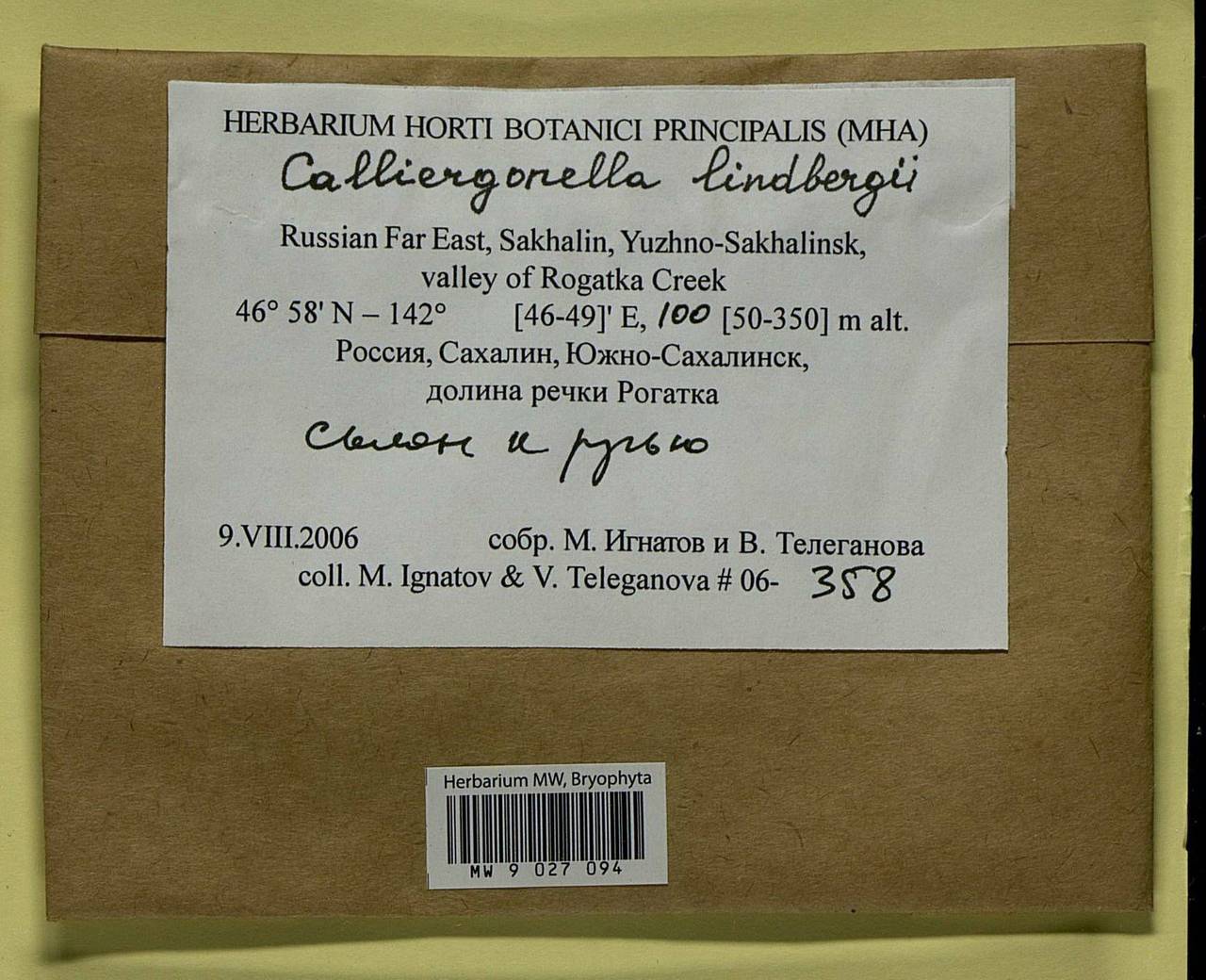 Calliergonella lindbergii (Mitt.) Hedenäs, Bryophytes, Bryophytes - Russian Far East (excl. Chukotka & Kamchatka) (B20) (Russia)