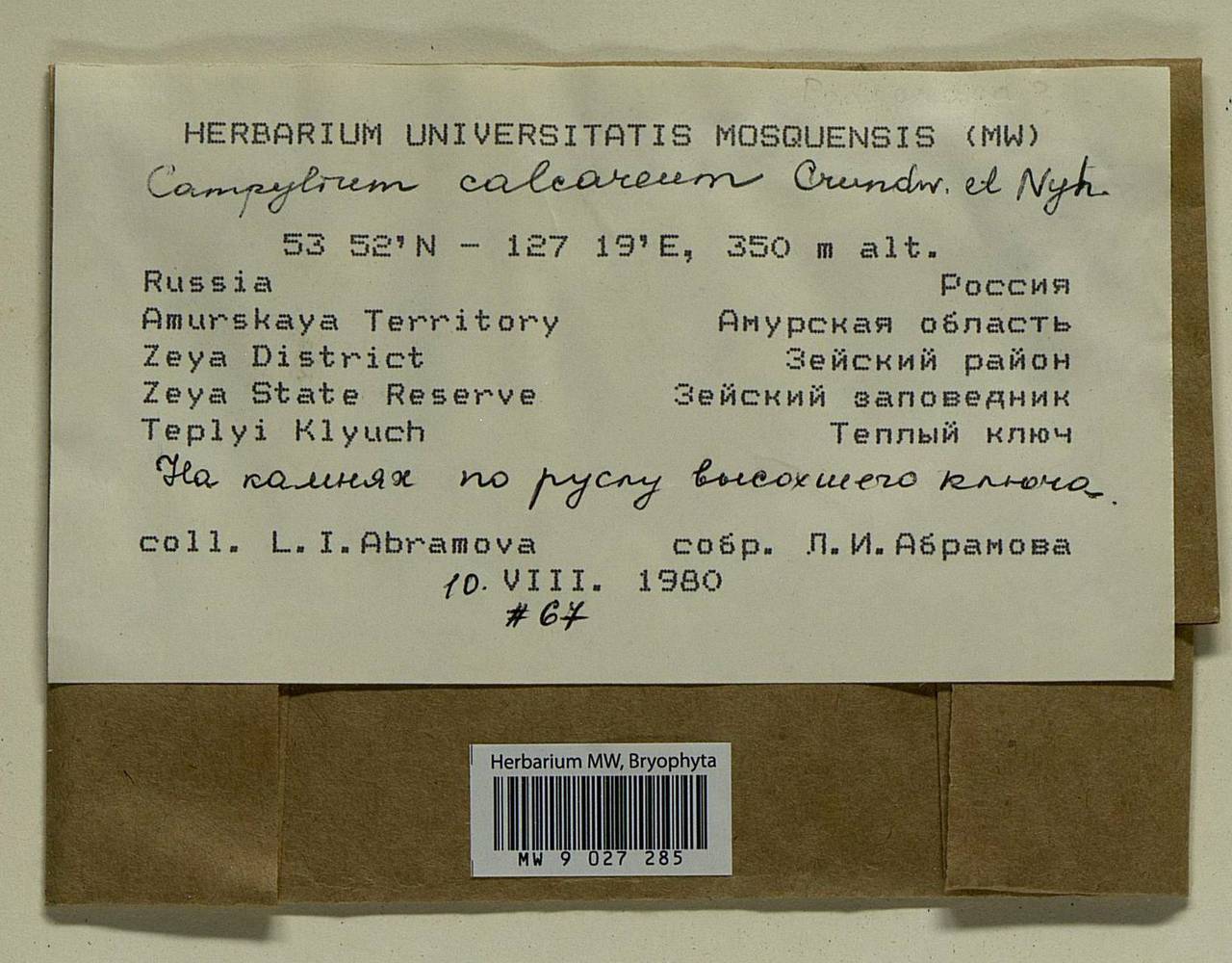 Campylophyllopsis calcarea (Crundw. & Nyholm) Ochyra, Bryophytes, Bryophytes - Russian Far East (excl. Chukotka & Kamchatka) (B20) (Russia)