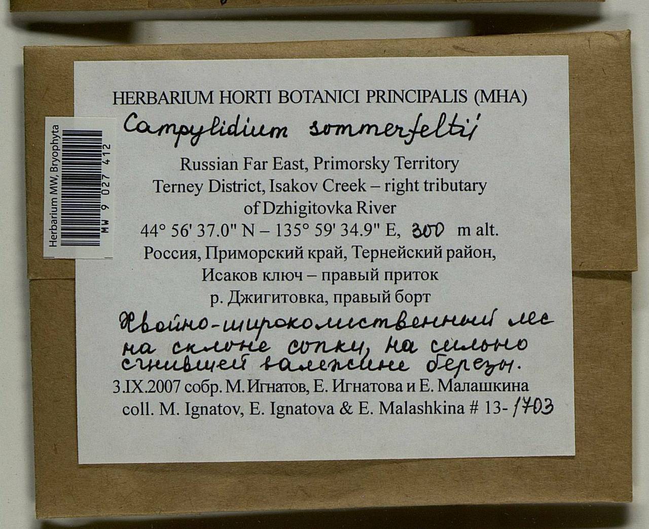 Campylophyllopsis sommerfeltii (Myrin) Ochyra, Bryophytes, Bryophytes - Russian Far East (excl. Chukotka & Kamchatka) (B20) (Russia)