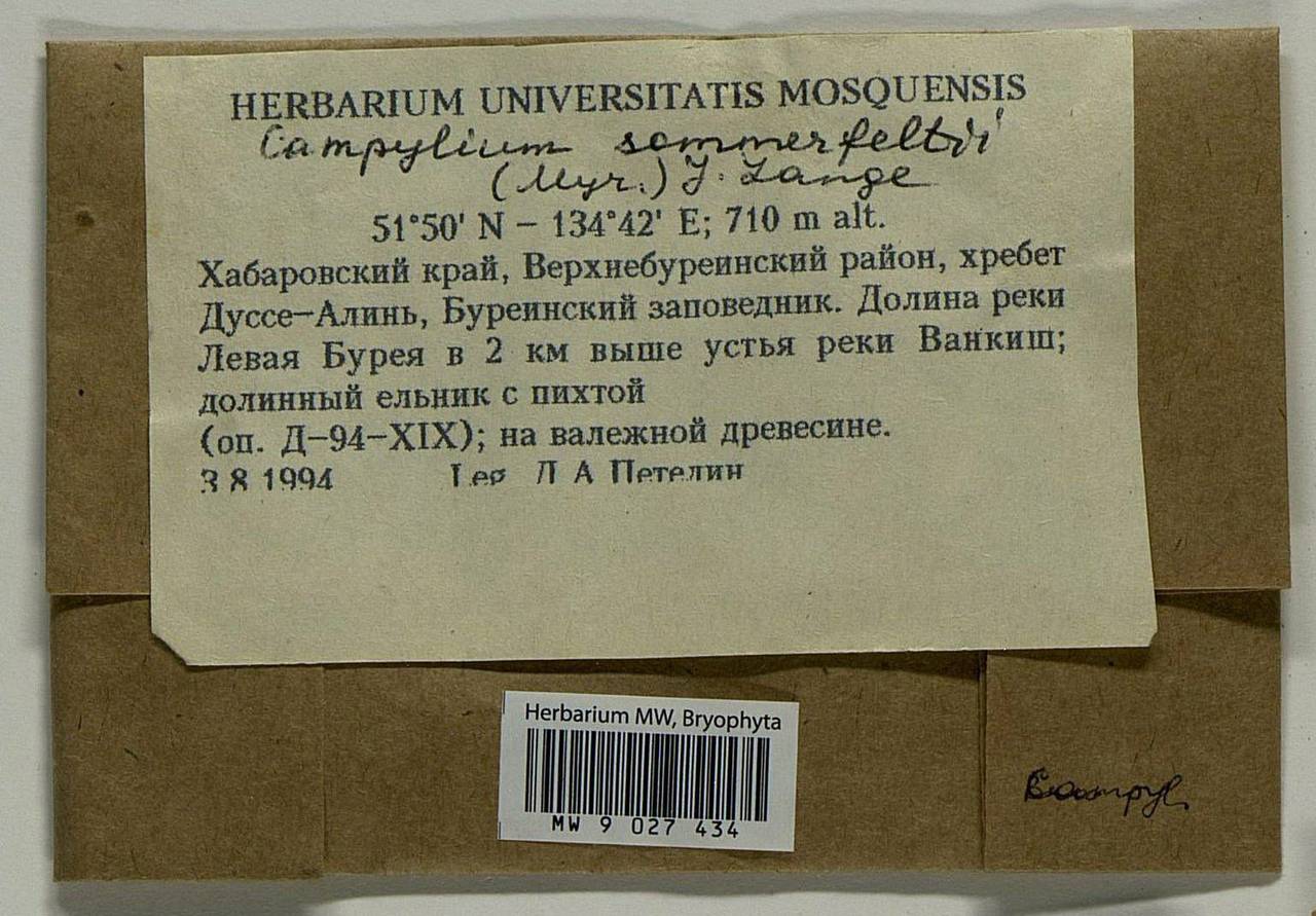 Campylophyllopsis sommerfeltii (Myrin) Ochyra, Bryophytes, Bryophytes - Russian Far East (excl. Chukotka & Kamchatka) (B20) (Russia)