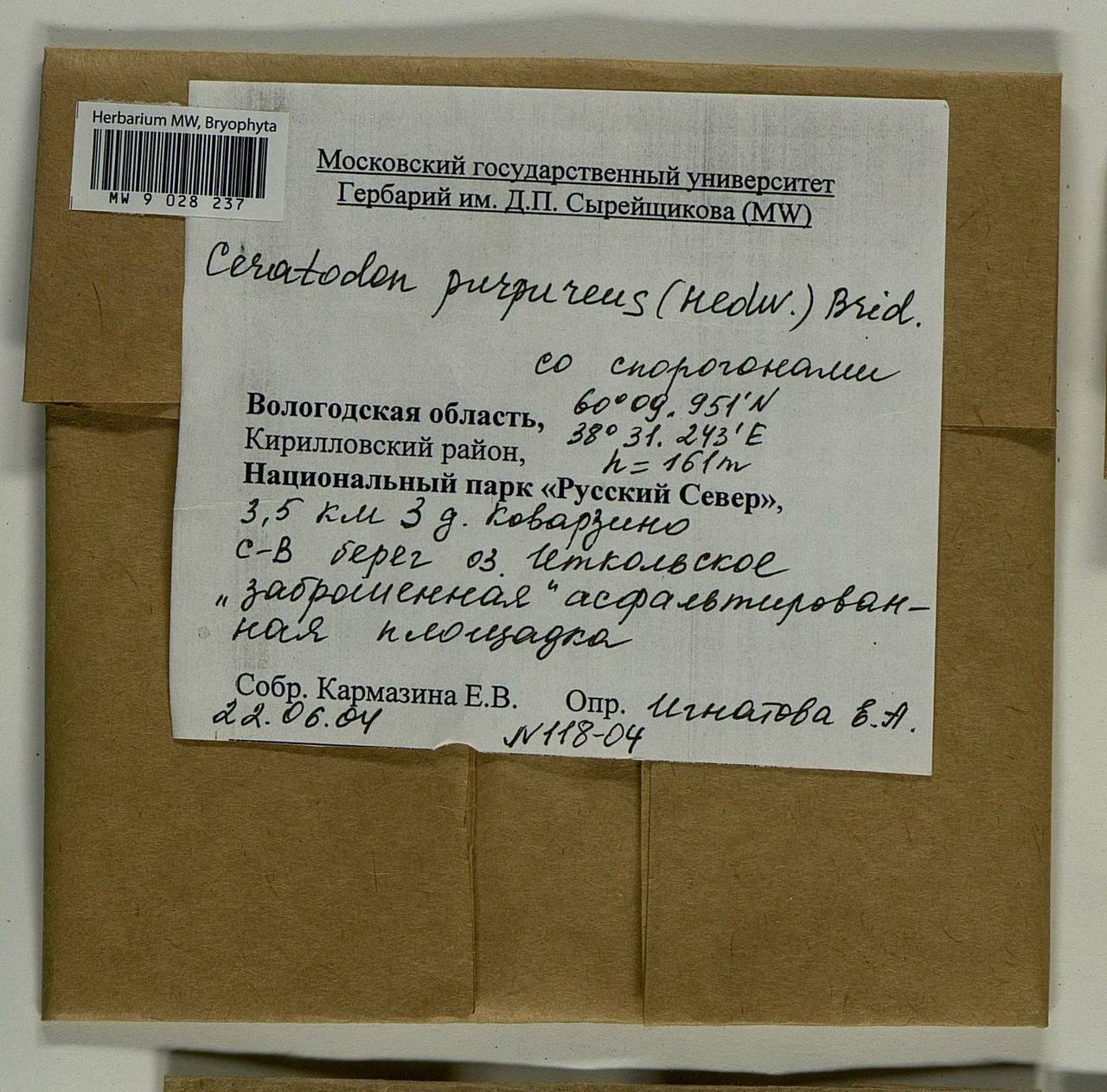 Ceratodon purpureus (Hedw.) Brid., Bryophytes, Bryophytes - European North East (B7) (Russia)