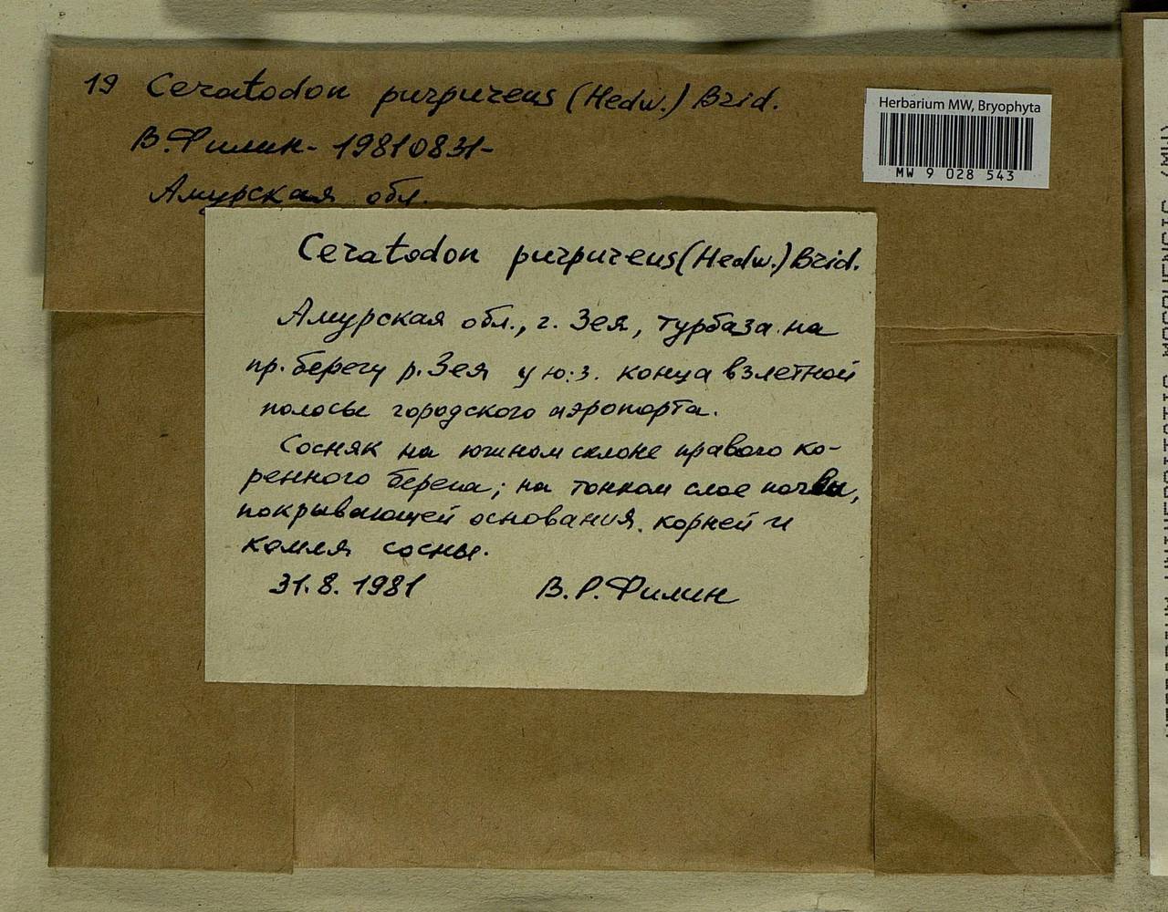 Ceratodon purpureus (Hedw.) Brid., Bryophytes, Bryophytes - Russian Far East (excl. Chukotka & Kamchatka) (B20) (Russia)
