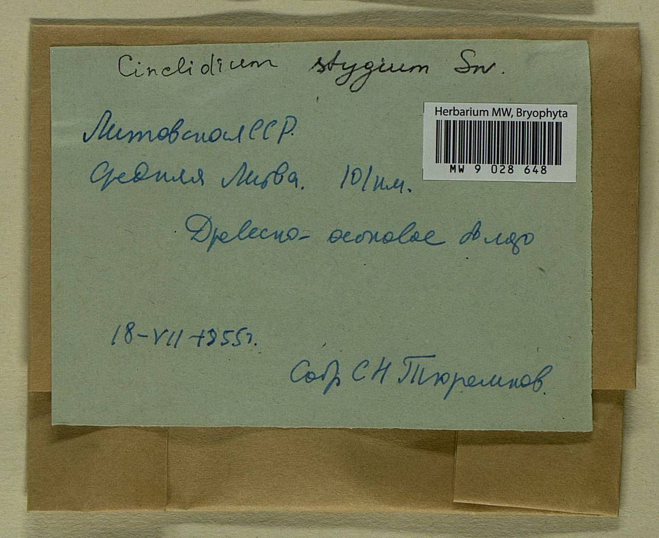 Cinclidium stygium Sw., Bryophytes, Bryophytes - Baltic States (B1) (Lithuania)