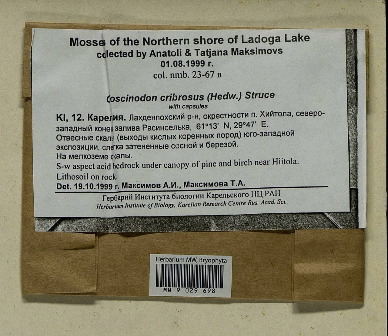 Coscinodon cribrosus (Hedw.) Spruce, Bryophytes, Bryophytes - Karelia, Leningrad & Murmansk Oblasts (B4) (Russia)