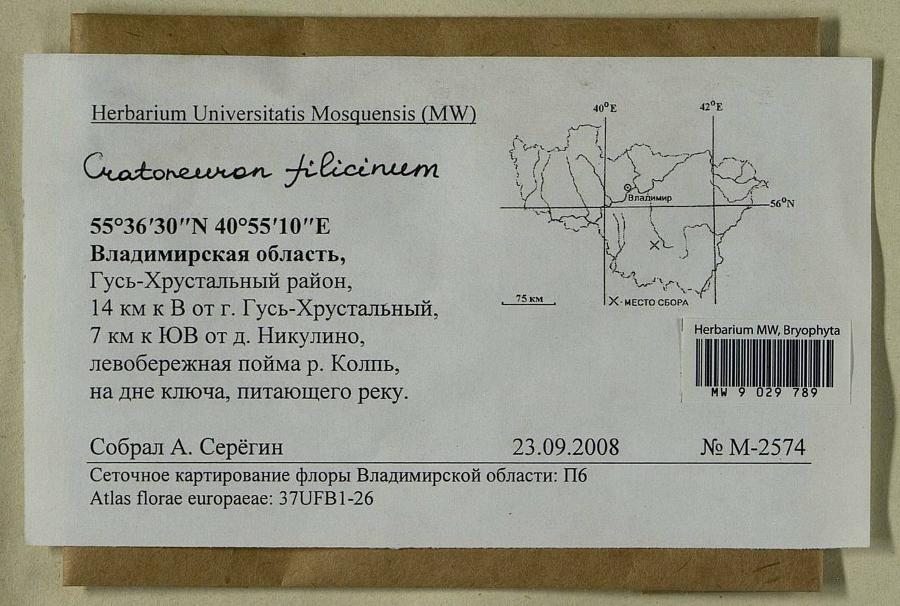 Cratoneuron filicinum (Hedw.) Spruce, Bryophytes, Bryophytes - Middle Russia (B6) (Russia)