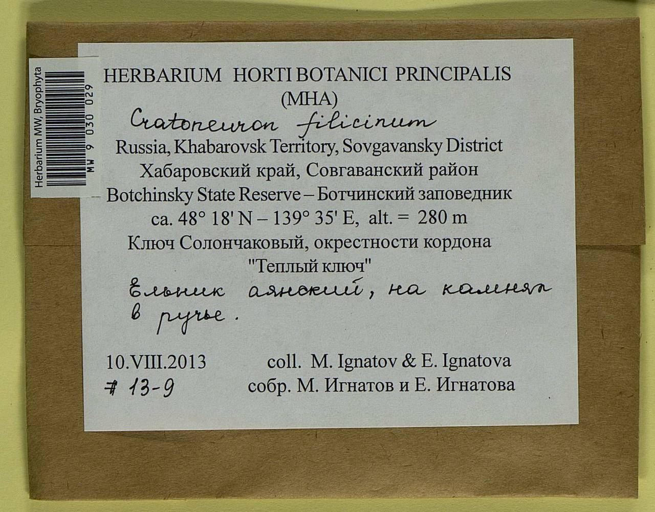 Cratoneuron filicinum (Hedw.) Spruce, Bryophytes, Bryophytes - Russian Far East (excl. Chukotka & Kamchatka) (B20) (Russia)