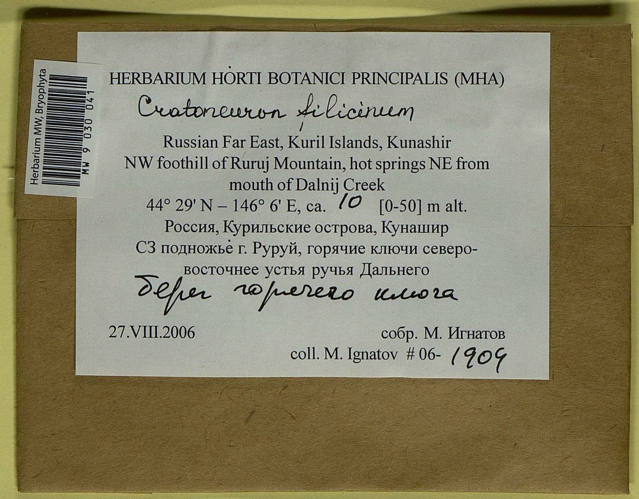 Cratoneuron filicinum (Hedw.) Spruce, Bryophytes, Bryophytes - Russian Far East (excl. Chukotka & Kamchatka) (B20) (Russia)