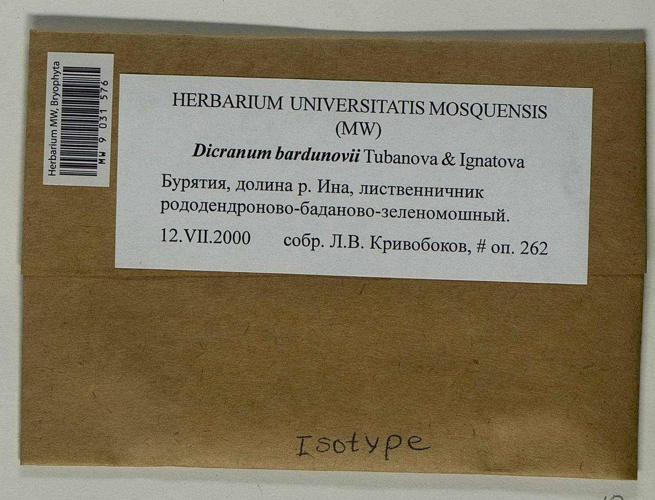 Dicranum bardunovii Tubanova & Ignatova, Bryophytes, Bryophytes - Baikal & Transbaikal regions (B18) (Russia)