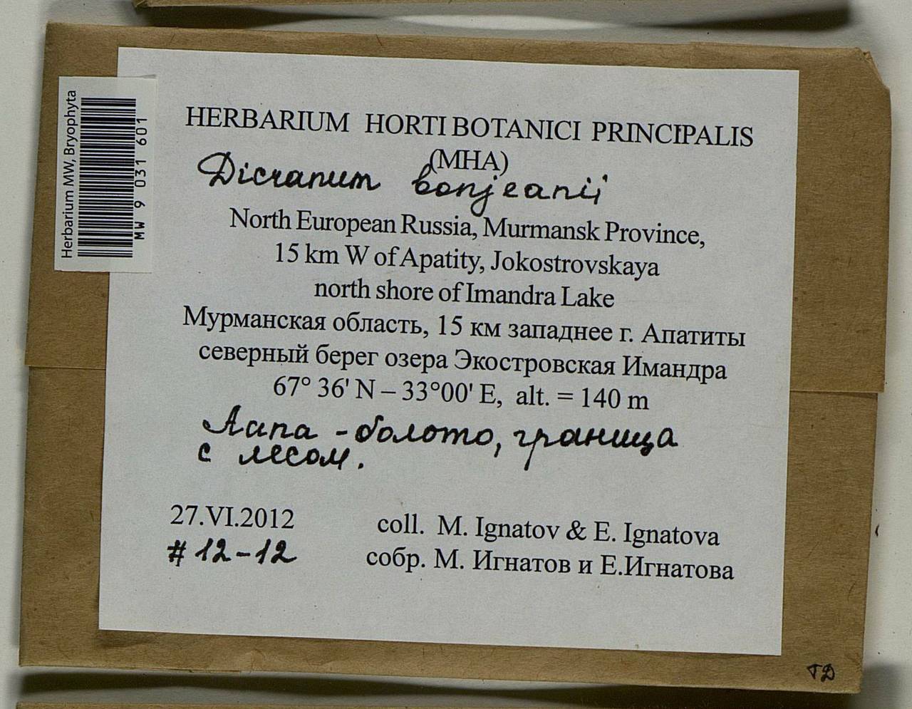 Dicranum bonjeanii De Not., Bryophytes, Bryophytes - Karelia, Leningrad & Murmansk Oblasts (B4) (Russia)