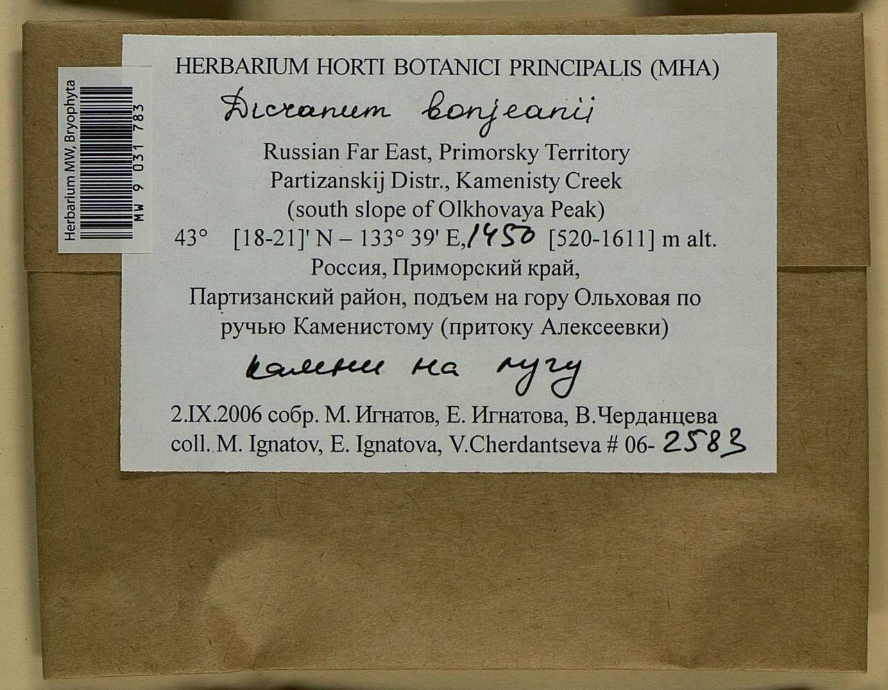 Dicranum bonjeanii De Not., Bryophytes, Bryophytes - Russian Far East (excl. Chukotka & Kamchatka) (B20) (Russia)