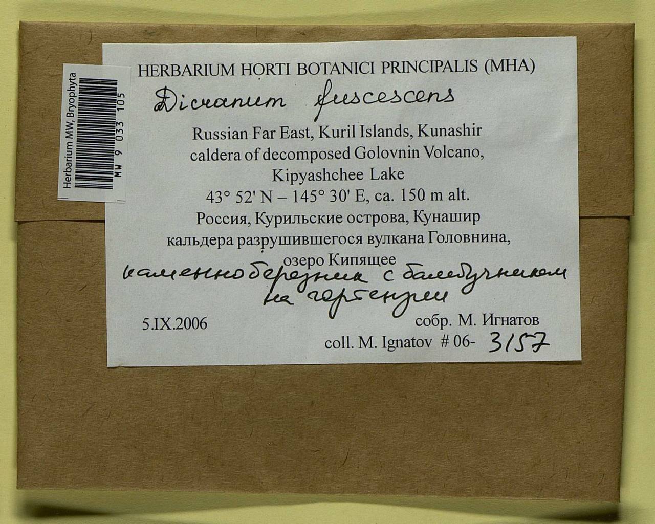 Dicranum fuscescens Turner, Bryophytes, Bryophytes - Russian Far East (excl. Chukotka & Kamchatka) (B20) (Russia)