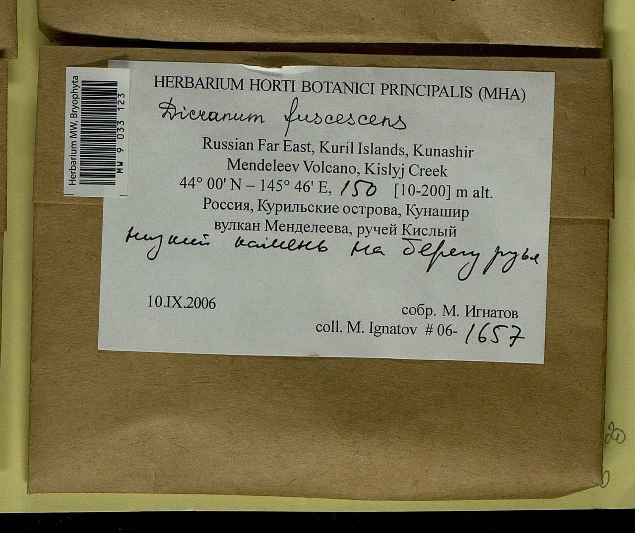 Dicranum fuscescens Turner, Bryophytes, Bryophytes - Russian Far East (excl. Chukotka & Kamchatka) (B20) (Russia)