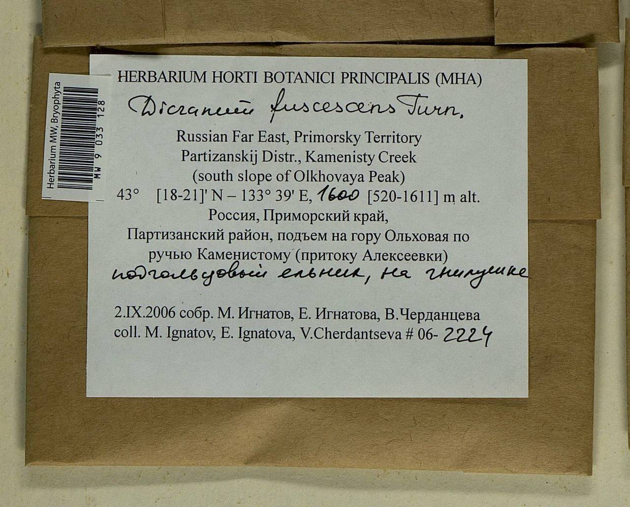 Dicranum fuscescens Turner, Bryophytes, Bryophytes - Russian Far East (excl. Chukotka & Kamchatka) (B20) (Russia)