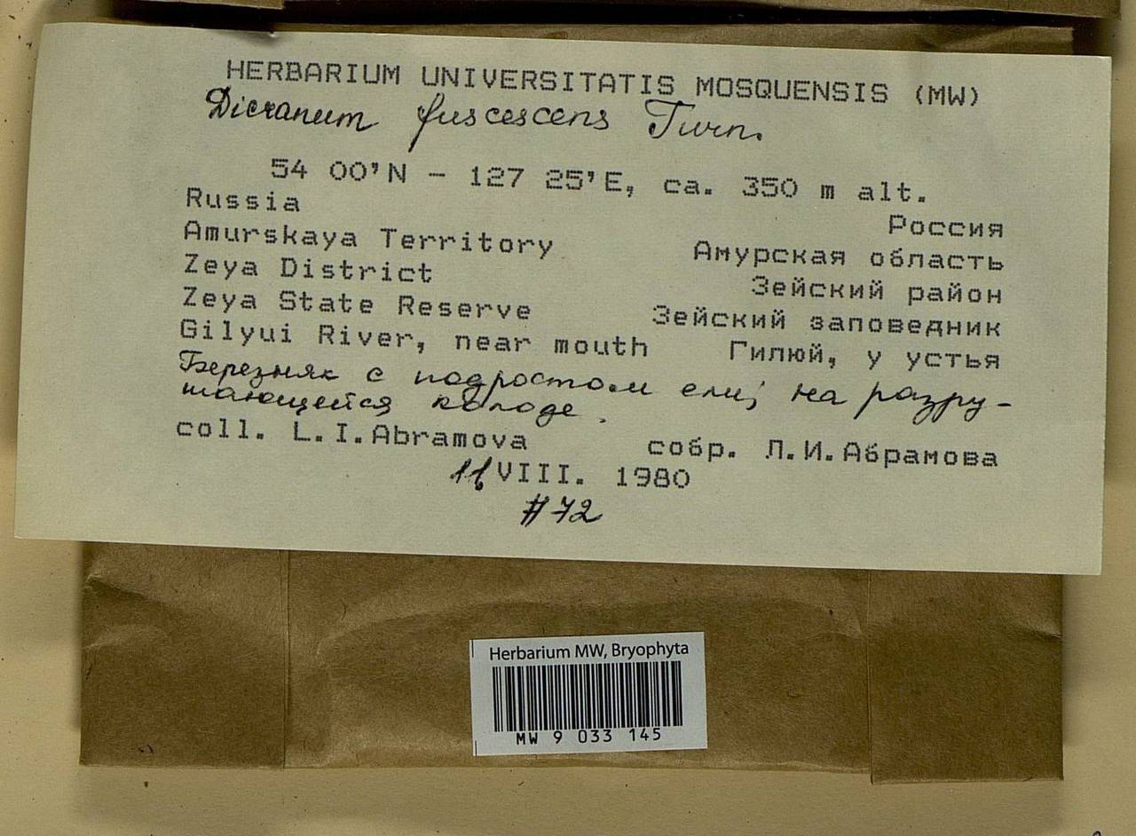 Dicranum fuscescens Turner, Bryophytes, Bryophytes - Russian Far East (excl. Chukotka & Kamchatka) (B20) (Russia)