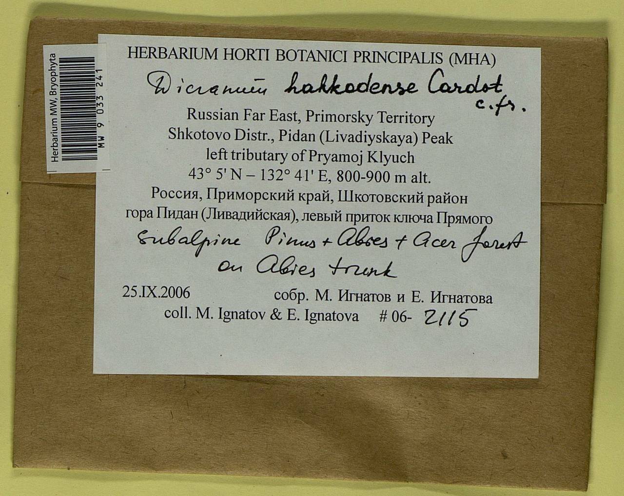 Dicranum viride var. hakkodense (Cardot) Takaki, Bryophytes, Bryophytes - Russian Far East (excl. Chukotka & Kamchatka) (B20) (Russia)