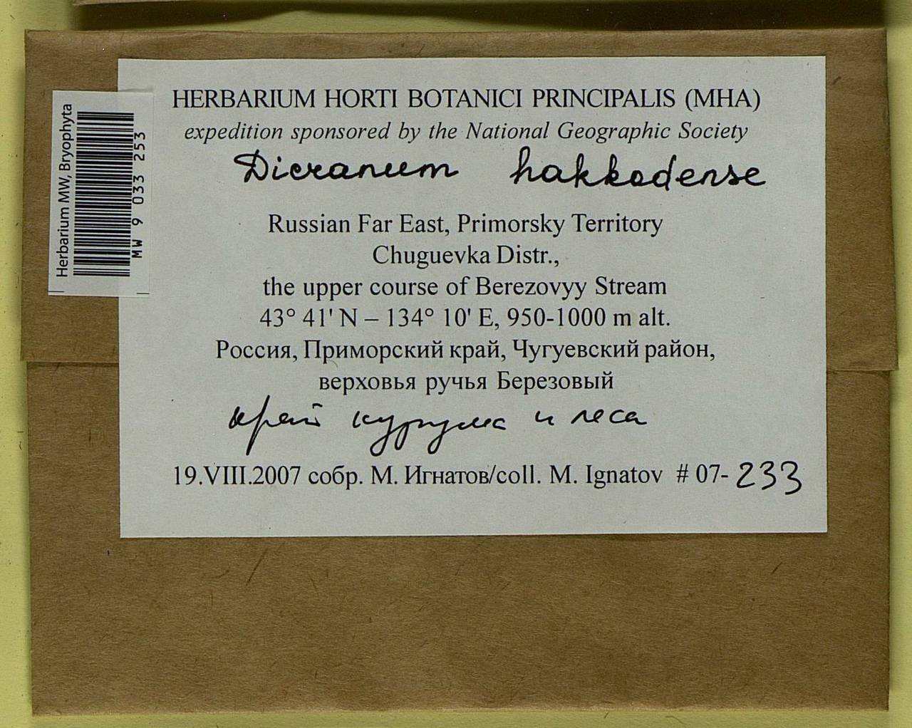 Dicranum viride var. hakkodense (Cardot) Takaki, Bryophytes, Bryophytes - Russian Far East (excl. Chukotka & Kamchatka) (B20) (Russia)