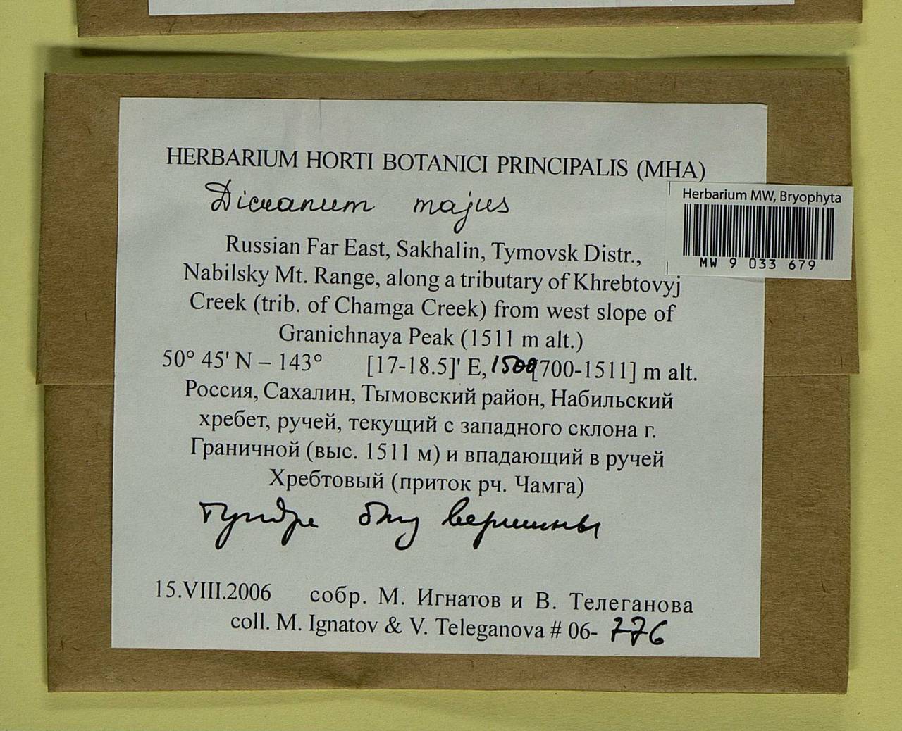 Dicranum majus Turner, Bryophytes, Bryophytes - Russian Far East (excl. Chukotka & Kamchatka) (B20) (Russia)