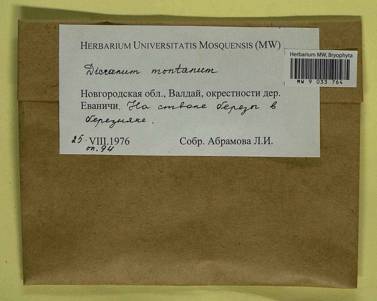 Orthodicranum montanum (Hedw.) Loeske, Bryophytes, Bryophytes - Novgorod & Pskov Oblasts (B5) (Russia)